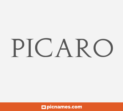 Picaro