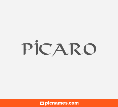 Picaro