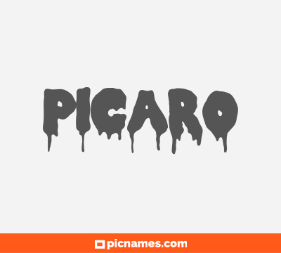 Picaro