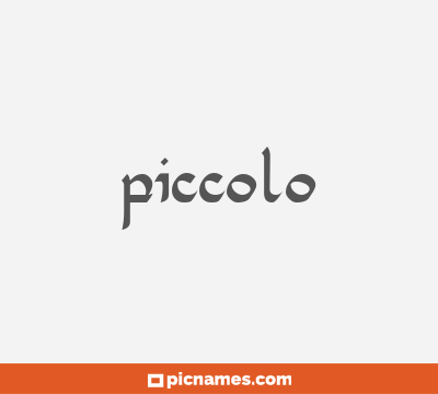 Piccolo