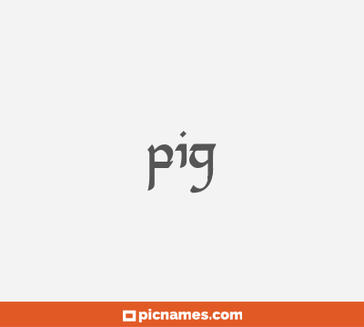 Pig