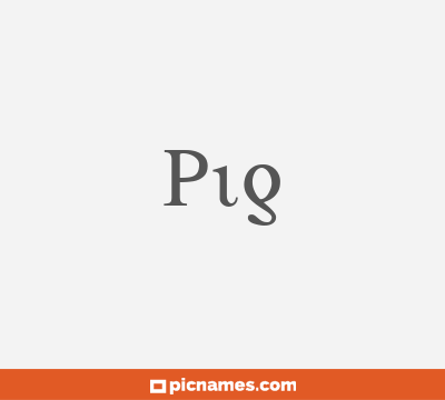 Pig