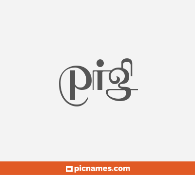 Pig