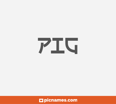 Pig