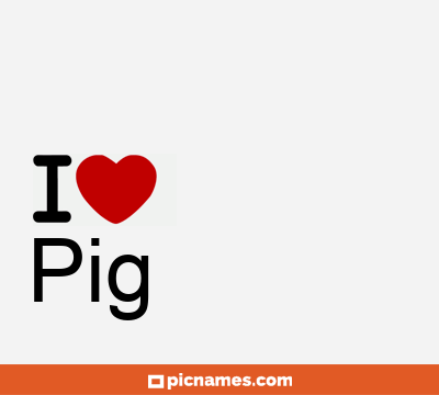 Pig