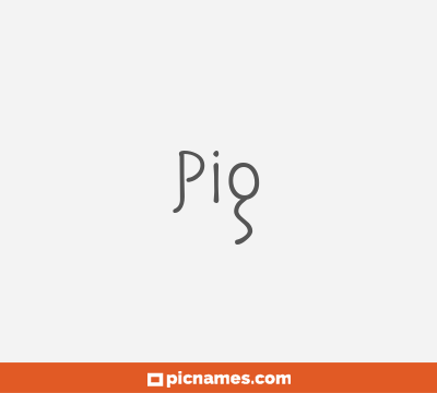 Pig