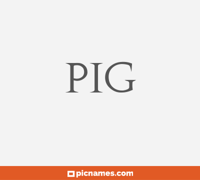 Pig