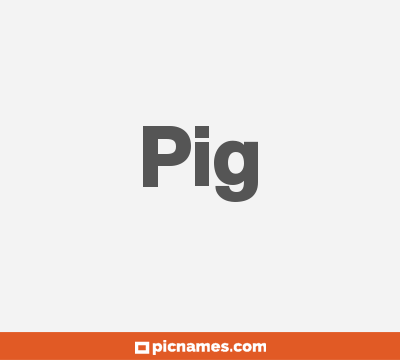 Pig