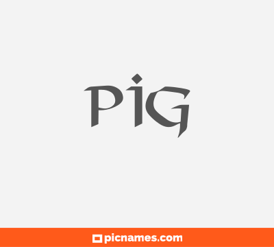 Pig