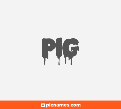 Pig