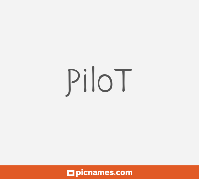 Pilot