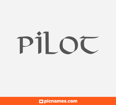 Pilot