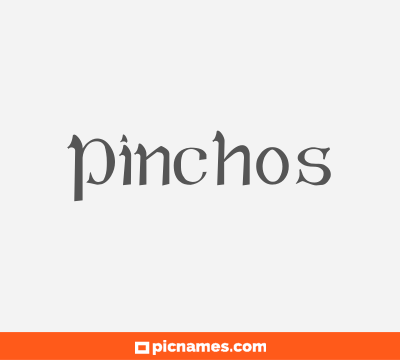 Pinchos