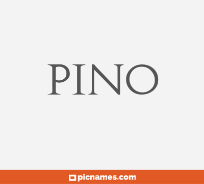 Pino