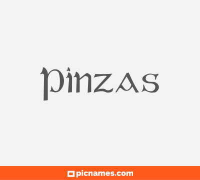 Pinzas