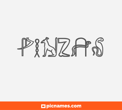 Pinzas