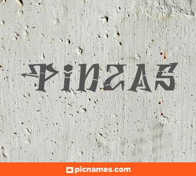 Pinzas