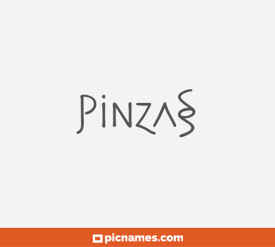 Pinzas