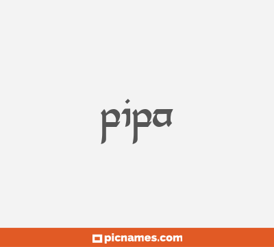 Pipa