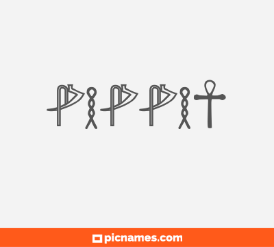 Pippit
