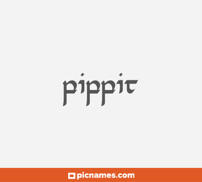 Pippit