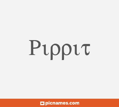 Pippit