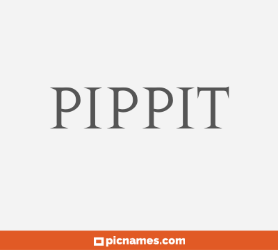 Pippit