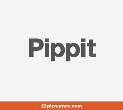 Pippit