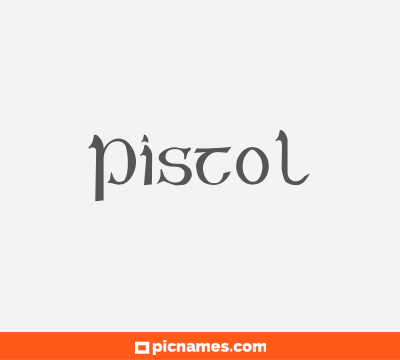 Pistol