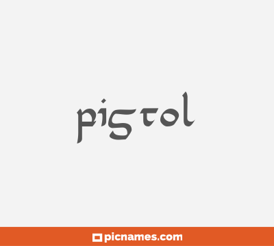 Pistol