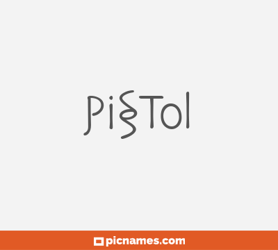 Pistol