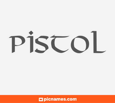 Pistol