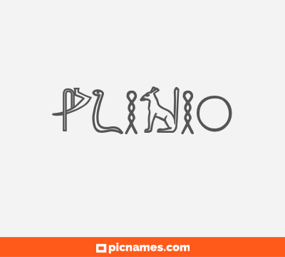 Plinio