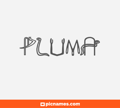 Pluma