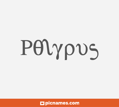 Polypus