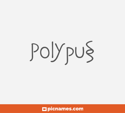 Polypus