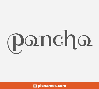 Poncho