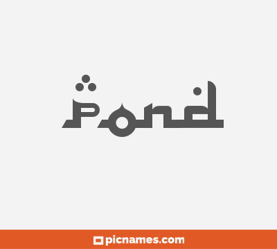 Pond