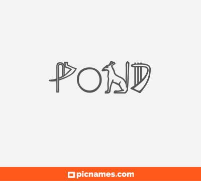 Pond