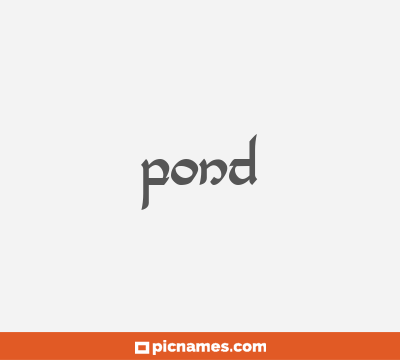Pond