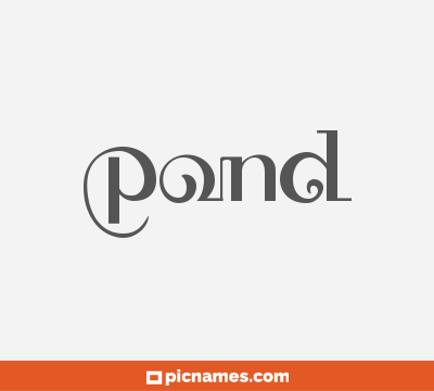 Pond