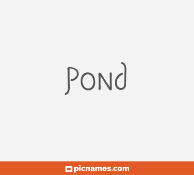 Pond