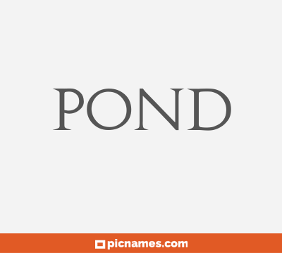 Pond