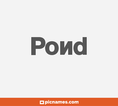 Pond