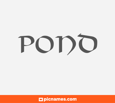 Pond