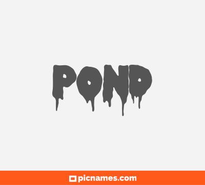 Pond
