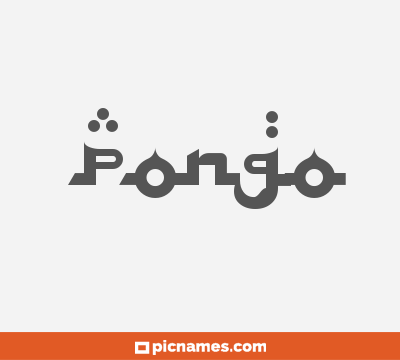 Pongo