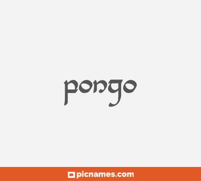 Pongo