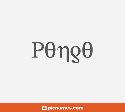 Pongo