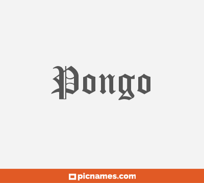 Pongo